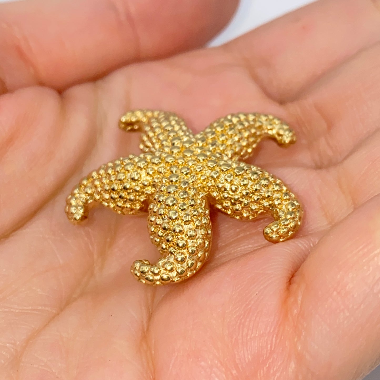 14K Sally Star Ocean Brouch