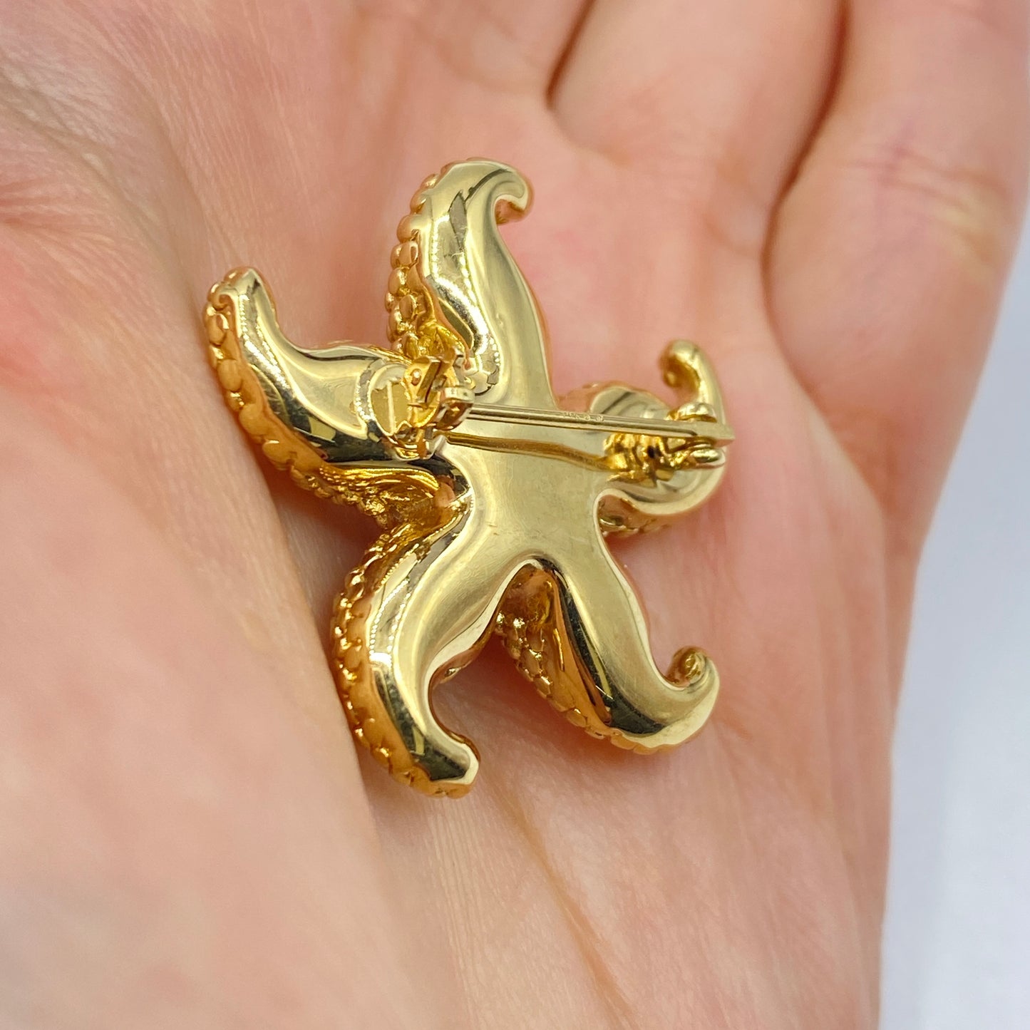 14K Sally Star Ocean Brouch